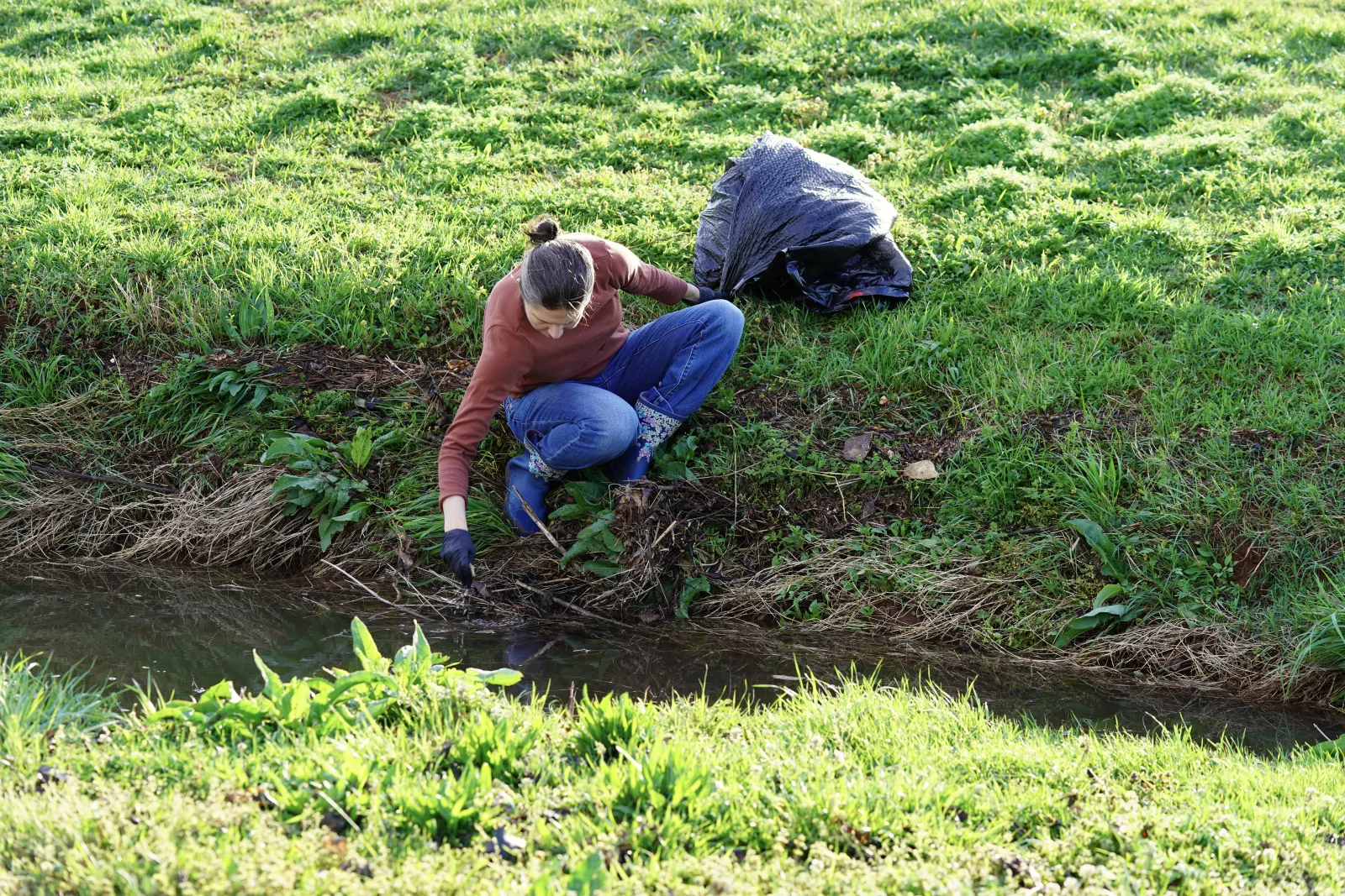 Group volunteering at Will Rogers Park cleanup